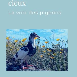 Seigneurs des Cieux : la Voix des Pigeons