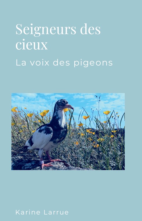 Seigneurs des Cieux : la Voix des Pigeons